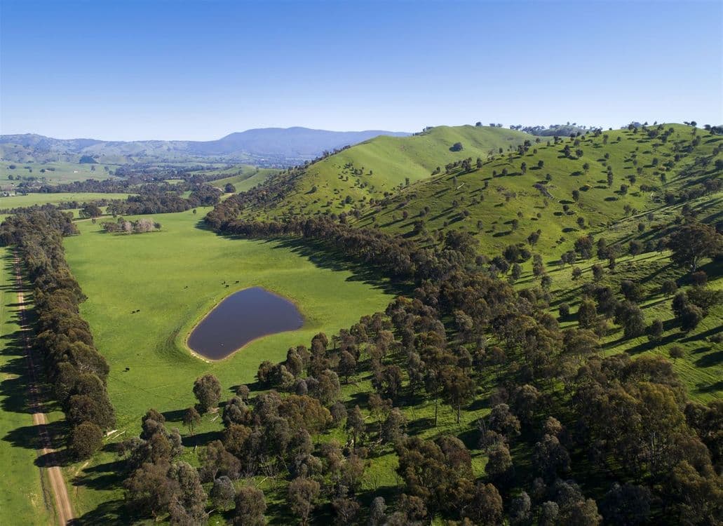 62 Upper King Parrot Creek Road, Strath Creek, VIC 3658, Strath Creek - Thumbnail 4