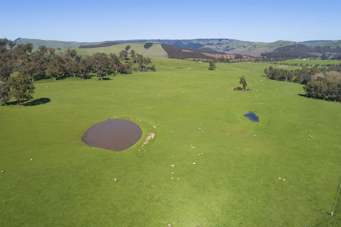 62 Upper King Parrot Creek Road, Strath Creek, VIC 3658, Strath Creek - Thumbnail 5