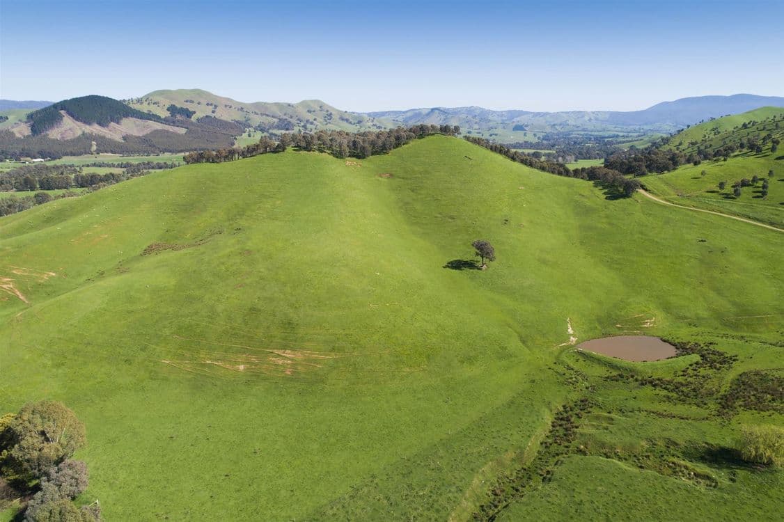 62 Upper King Parrot Creek Road, Strath Creek, VIC 3658, Strath Creek - Thumbnail 6