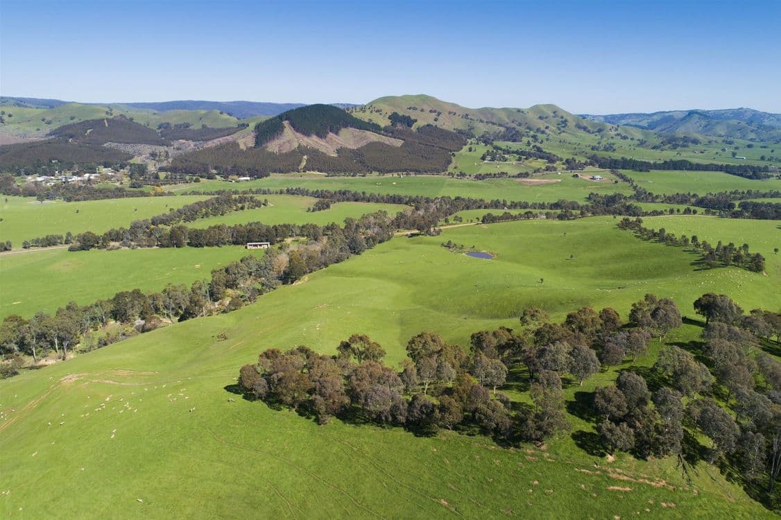 62 Upper King Parrot Creek Road, Strath Creek, VIC 3658, Strath Creek - Thumbnail 7