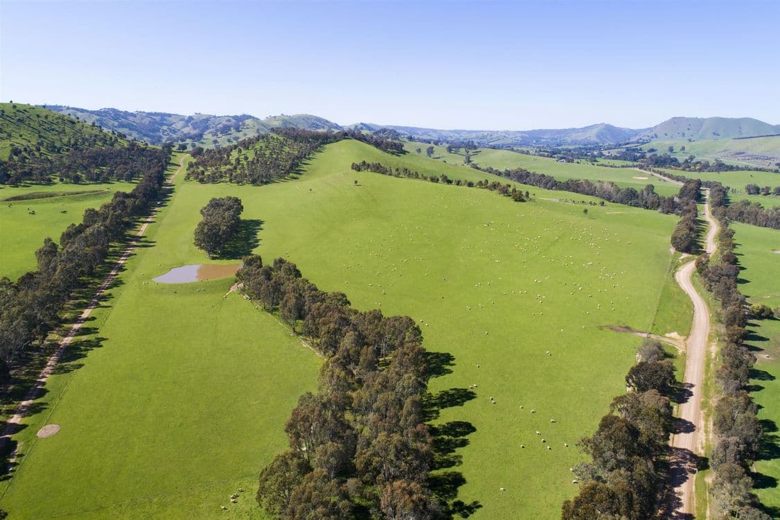 62 Upper King Parrot Creek Road, Strath Creek, VIC 3658, Strath Creek - Thumbnail 8