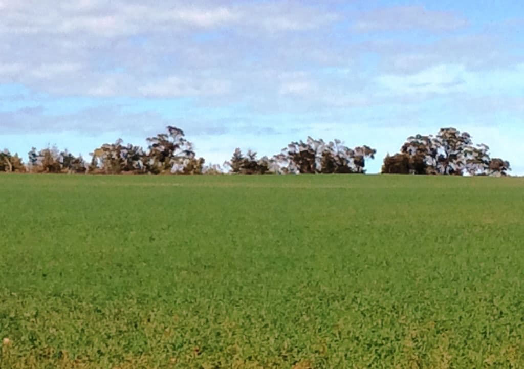 174 Morchard Road, Booleroo Centre, SA 5482, Booleroo Centre - Image 1