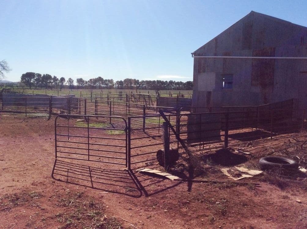 174 Morchard Road, Booleroo Centre, SA 5482, Booleroo Centre - Thumbnail 8