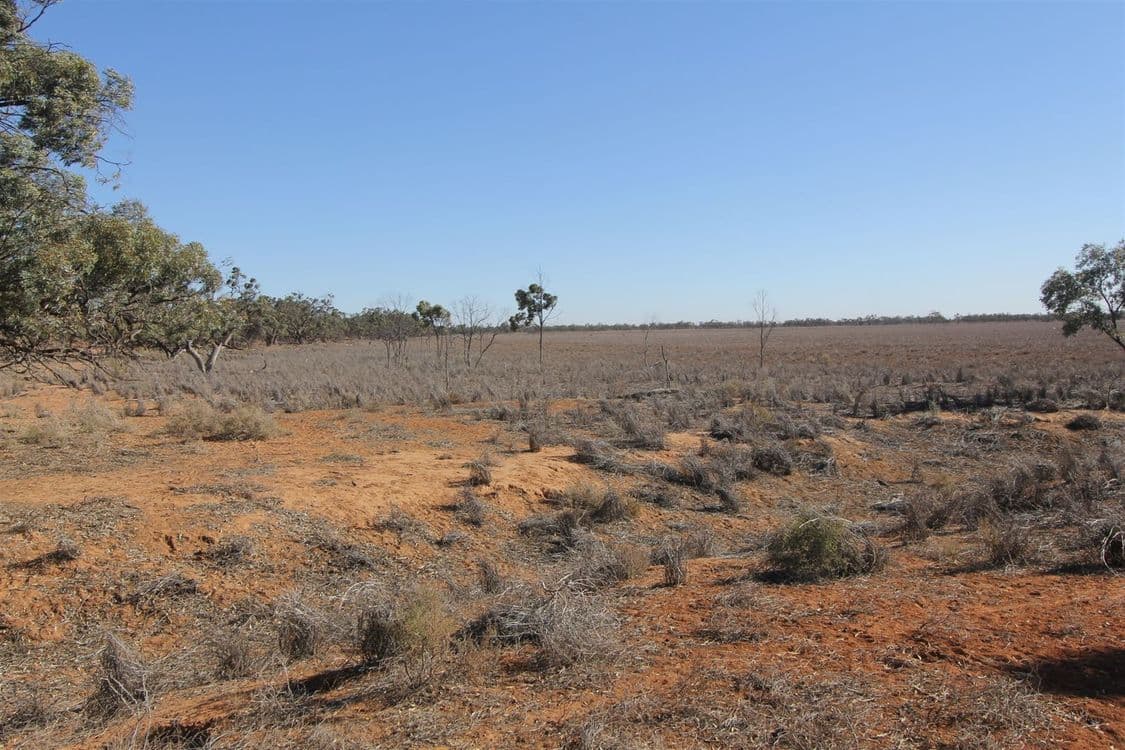 . Netley Station, Broken Hill, NSW 2880, Broken Hill - Thumbnail 3