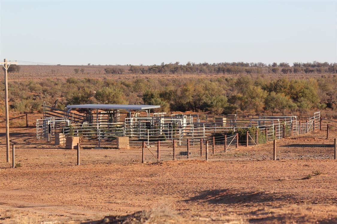 . Netley Station, Broken Hill, NSW 2880, Broken Hill - Thumbnail 4