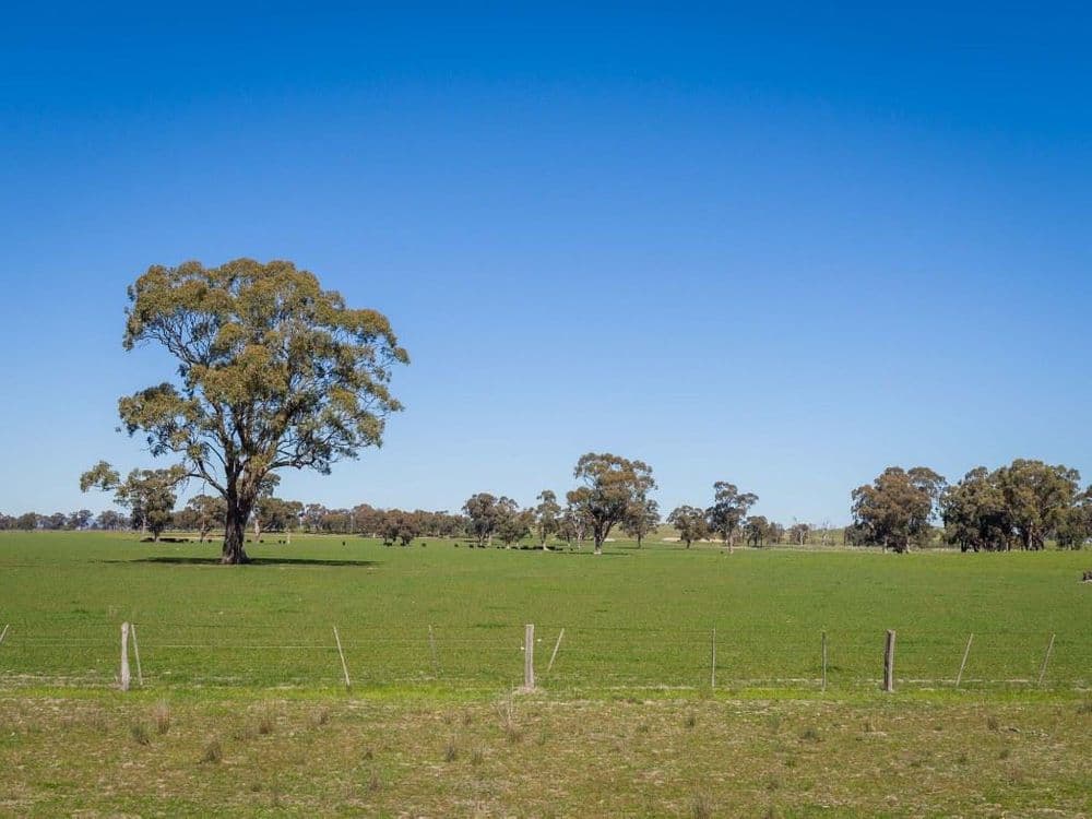 Grimwade Road, Nagambie, VIC 3608, Nagambie - Thumbnail 3