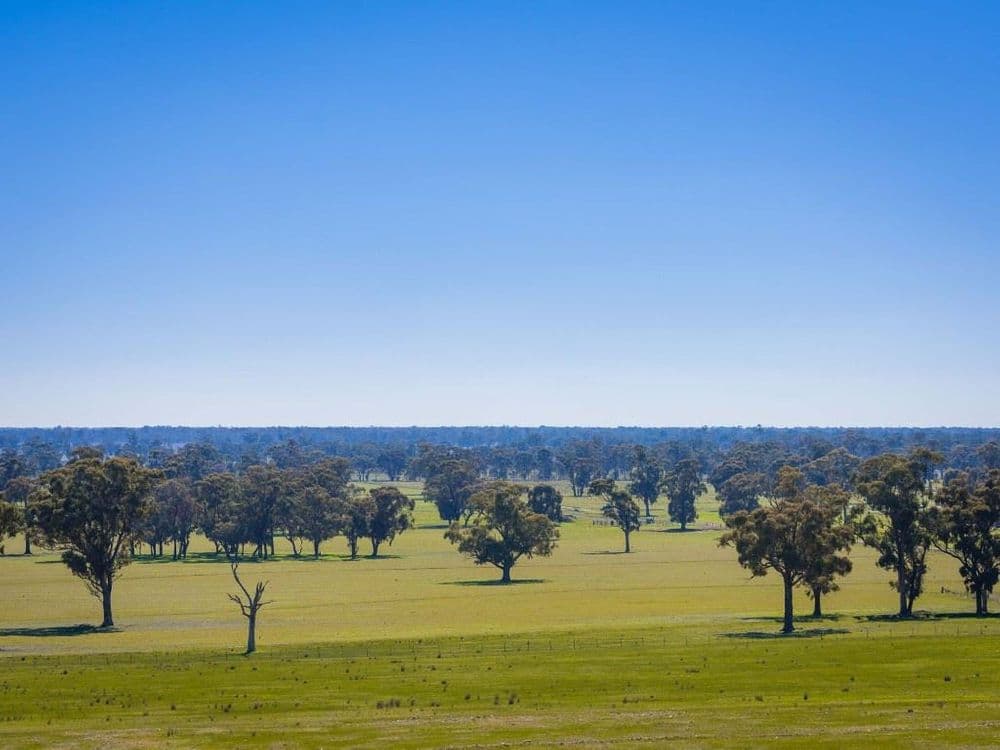 Grimwade Road, Nagambie, VIC 3608, Nagambie - Thumbnail 4