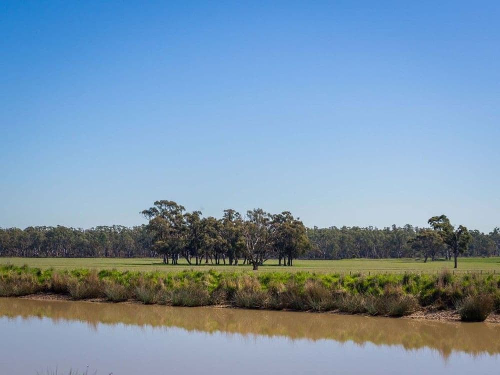 Grimwade Road, Nagambie, VIC 3608, Nagambie - Thumbnail 7