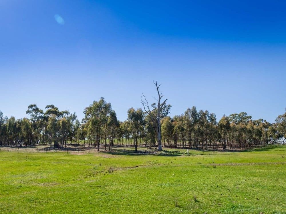 Grimwade Road, Nagambie, VIC 3608, Nagambie - Thumbnail 8