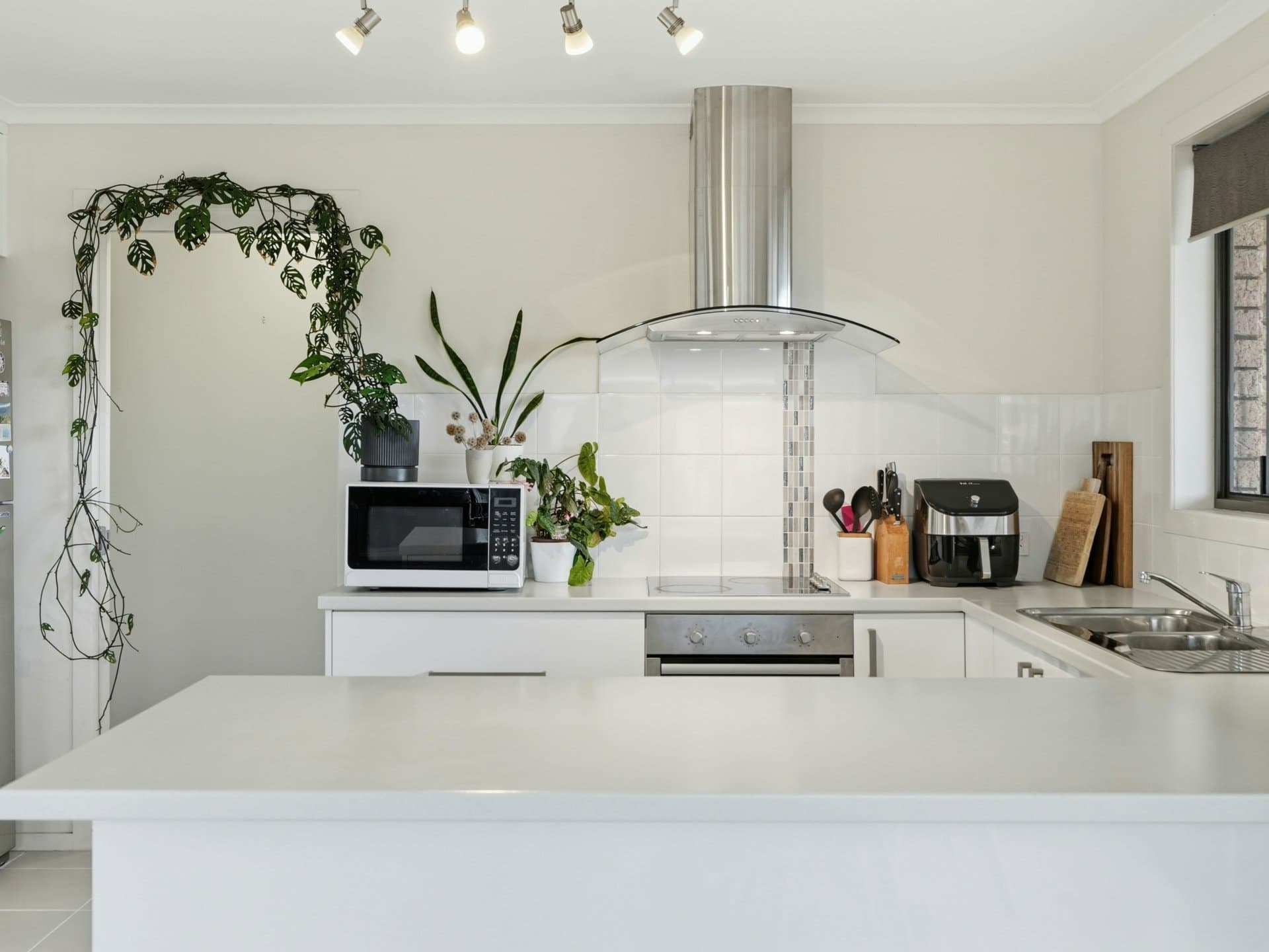 15 Katherine Close, Ranelagh, Ranelagh - Thumbnail 4