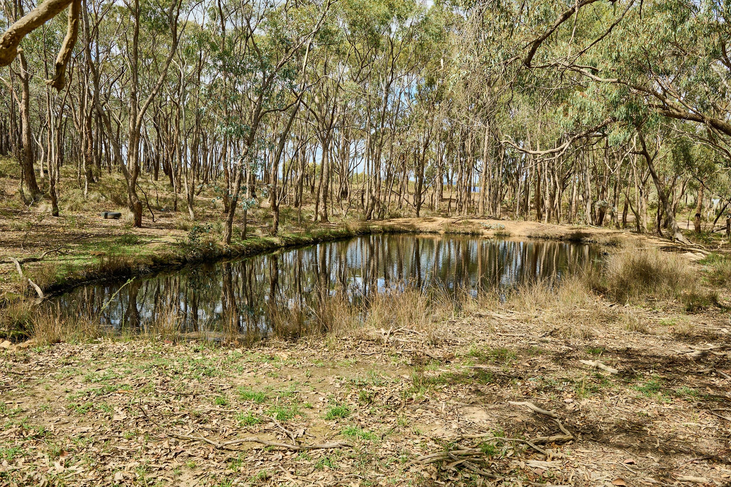 555 Dairy Flat Road, Heathcote VIC 3523, Heathcote - Thumbnail 4
