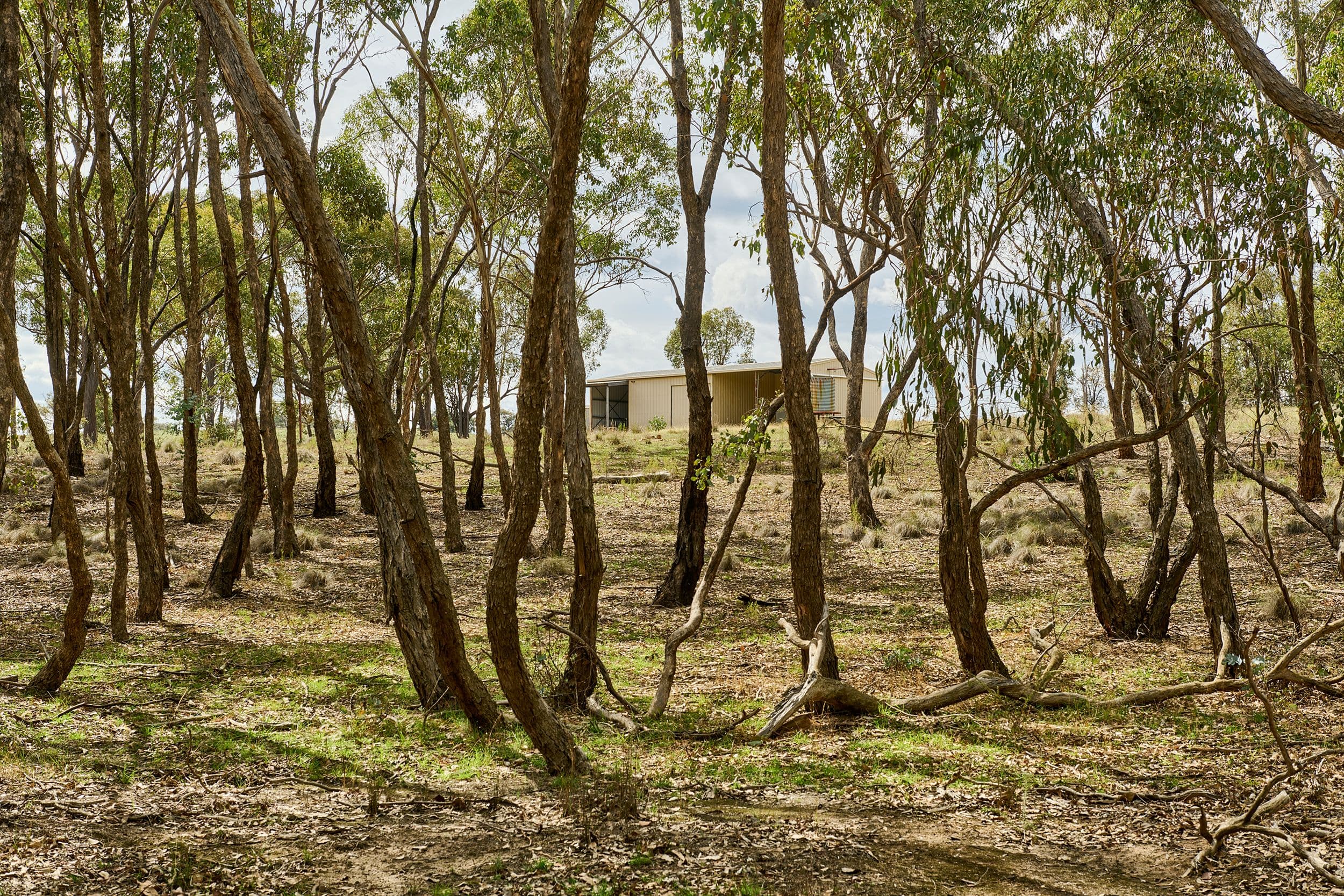 555 Dairy Flat Road, Heathcote VIC 3523, Heathcote - Thumbnail 5