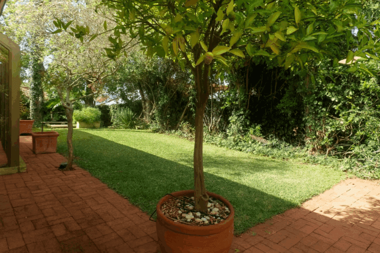 110B Gugeri Street, Claremont - Thumbnail 2