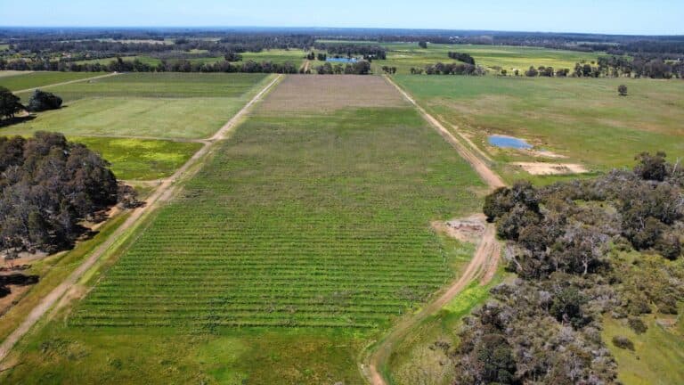 412 Jindong-Treeton Road, Kaloorup - Thumbnail 2