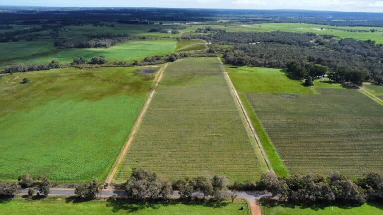 412 Jindong-Treeton Road, Kaloorup - Thumbnail 5