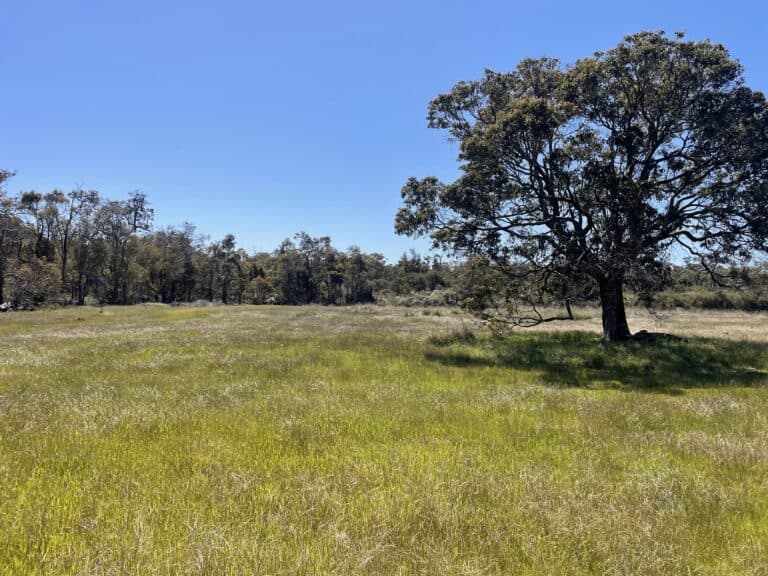 412 Jindong-Treeton Road, Kaloorup - Thumbnail 7