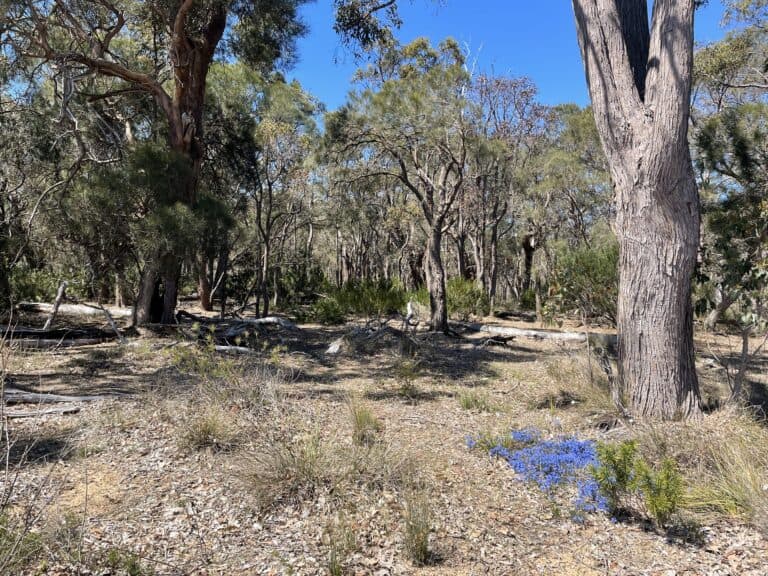 412 Jindong-Treeton Road, Kaloorup - Thumbnail 8