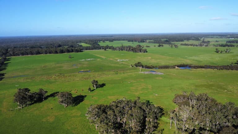 407 Donaldson Road, Cowaramup - Thumbnail 2