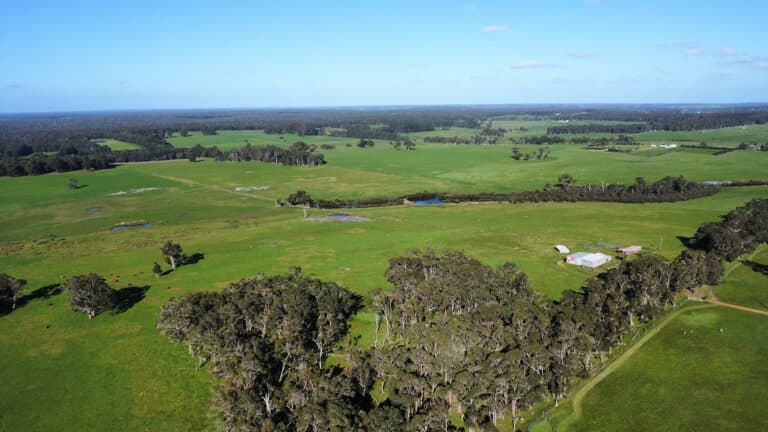 407 Donaldson Road, Cowaramup - Thumbnail 3