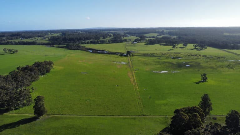 407 Donaldson Road, Cowaramup - Thumbnail 4