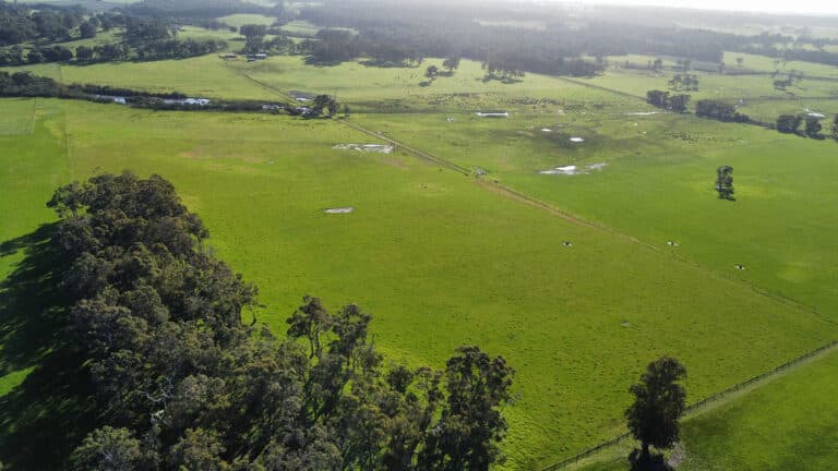407 Donaldson Road, Cowaramup - Thumbnail 6