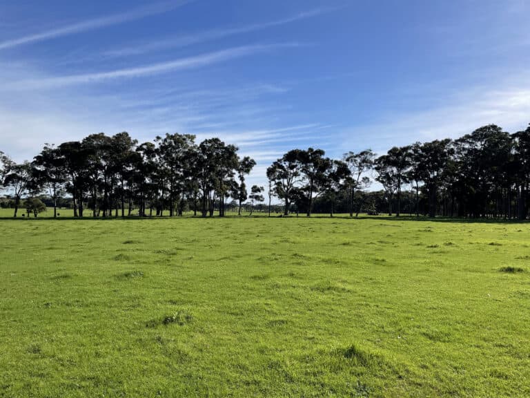 310 Cowaramup Bay Road, Cowaramup - Thumbnail 5
