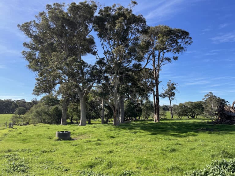 310 Cowaramup Bay Road, Cowaramup - Thumbnail 7