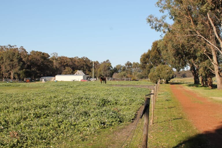 65 Electra Road, Yallingup Siding - Thumbnail 4