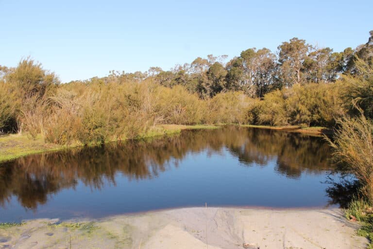 65 Electra Road, Yallingup Siding - Thumbnail 5