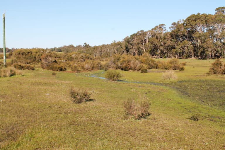 65 Electra Road, Yallingup Siding - Thumbnail 6