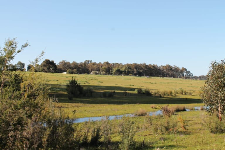 65 Electra Road, Yallingup Siding - Thumbnail 7