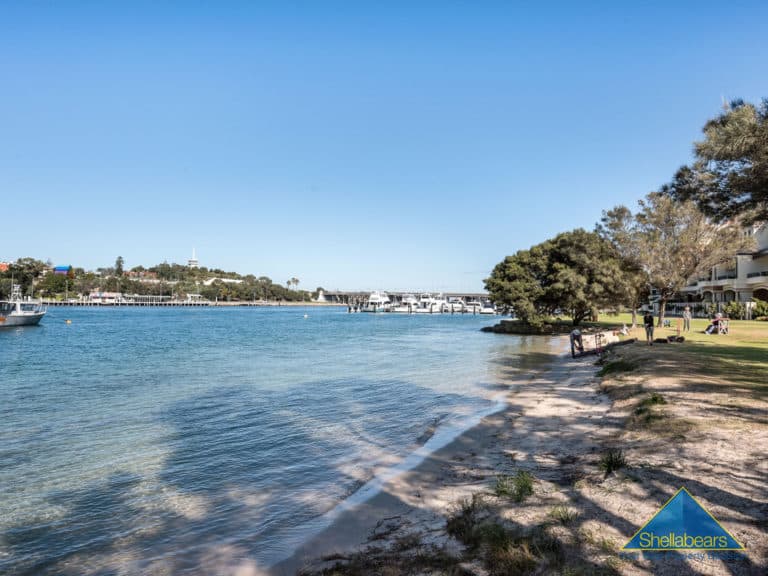 31B Bruce Street, North Fremantle - Thumbnail 7