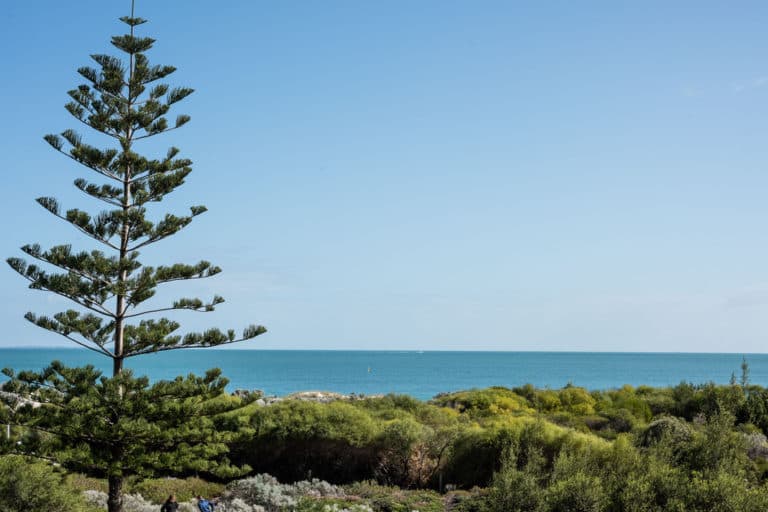 14/1 Freeman Loop, North Fremantle - Thumbnail 6