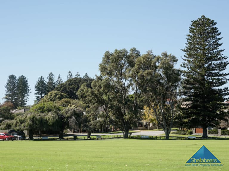 1 Jimbell Street, Mosman Park - Thumbnail 4