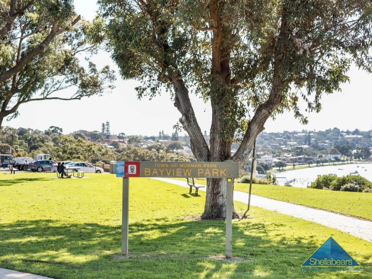 20 Swan Street, Mosman Park - Thumbnail 8