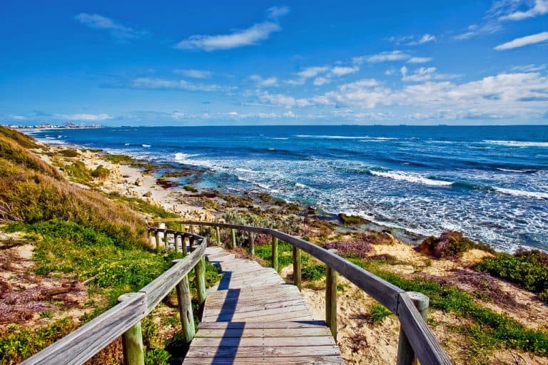 46 Napier Street, Cottesloe - Thumbnail 6