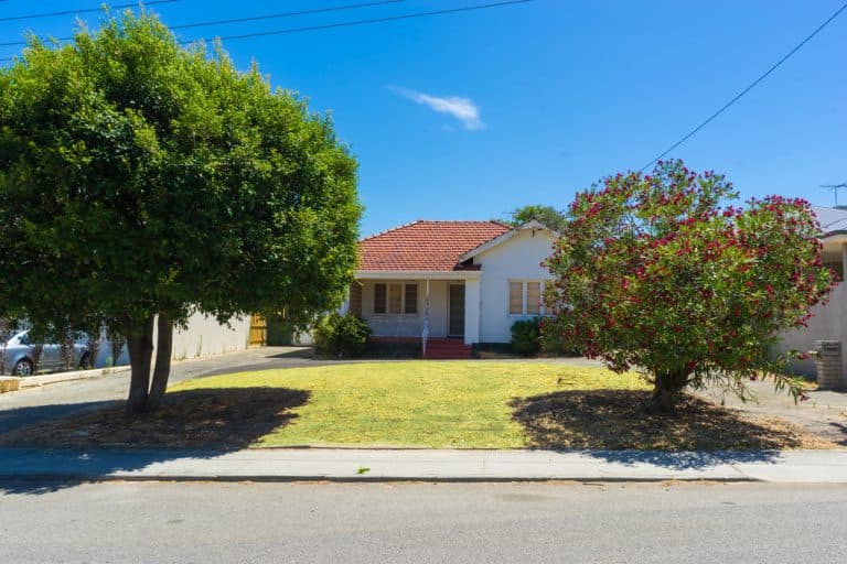 47 Samson Street, Mosman Park - Thumbnail 3