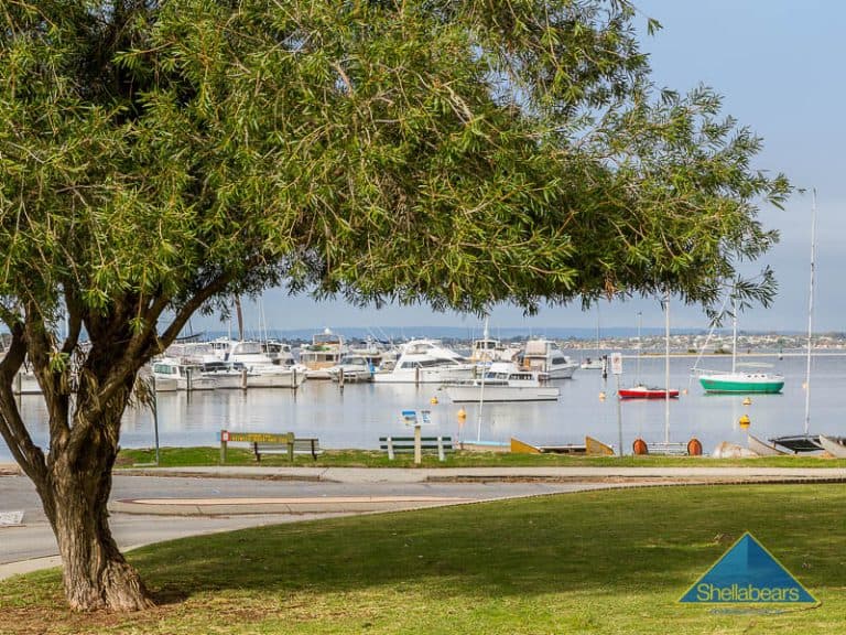 47 Samson Street, Mosman Park - Thumbnail 4