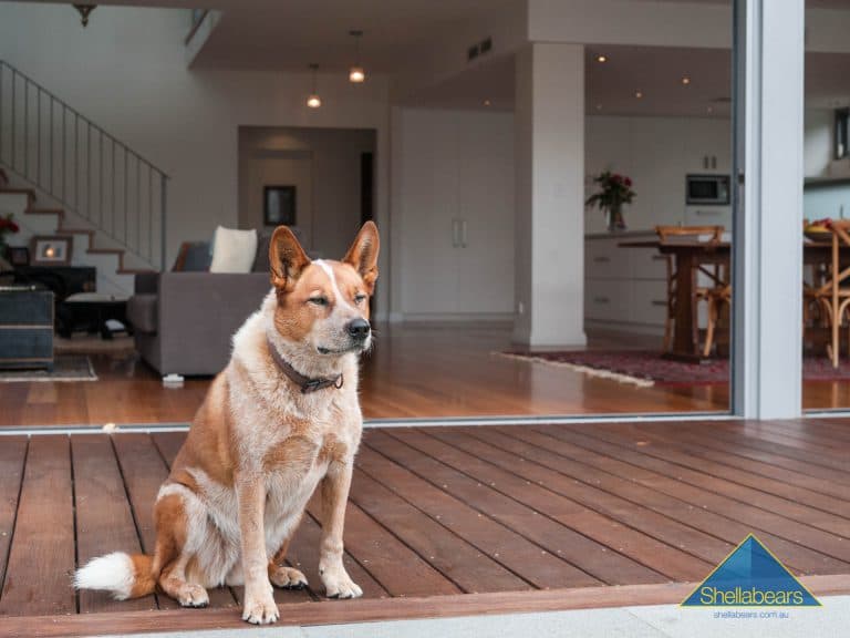 28 Gill Street, Mosman Park - Thumbnail 2