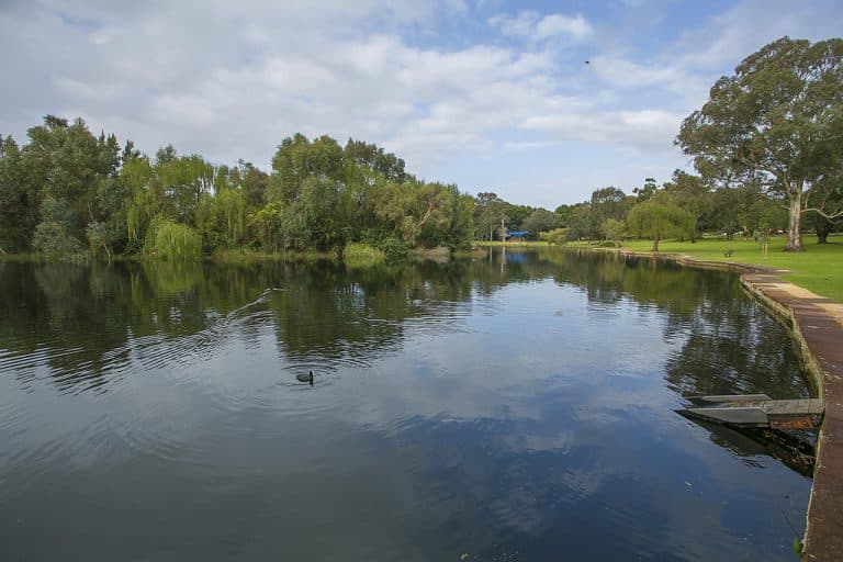 4 Excelsior Street, Shenton Park - Thumbnail 2