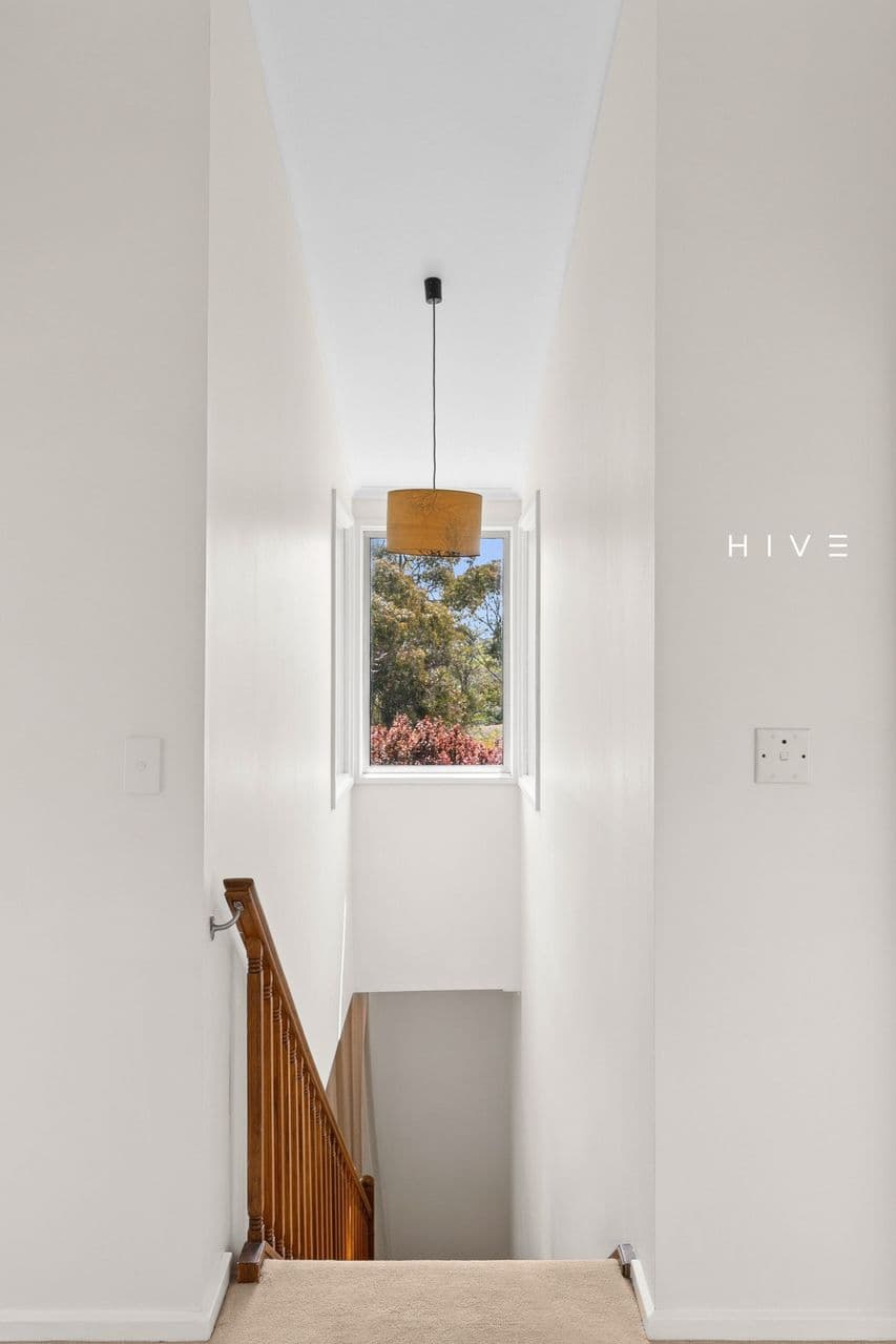 3 Beauchamp Street, Deakin, Deakin - Thumbnail 5