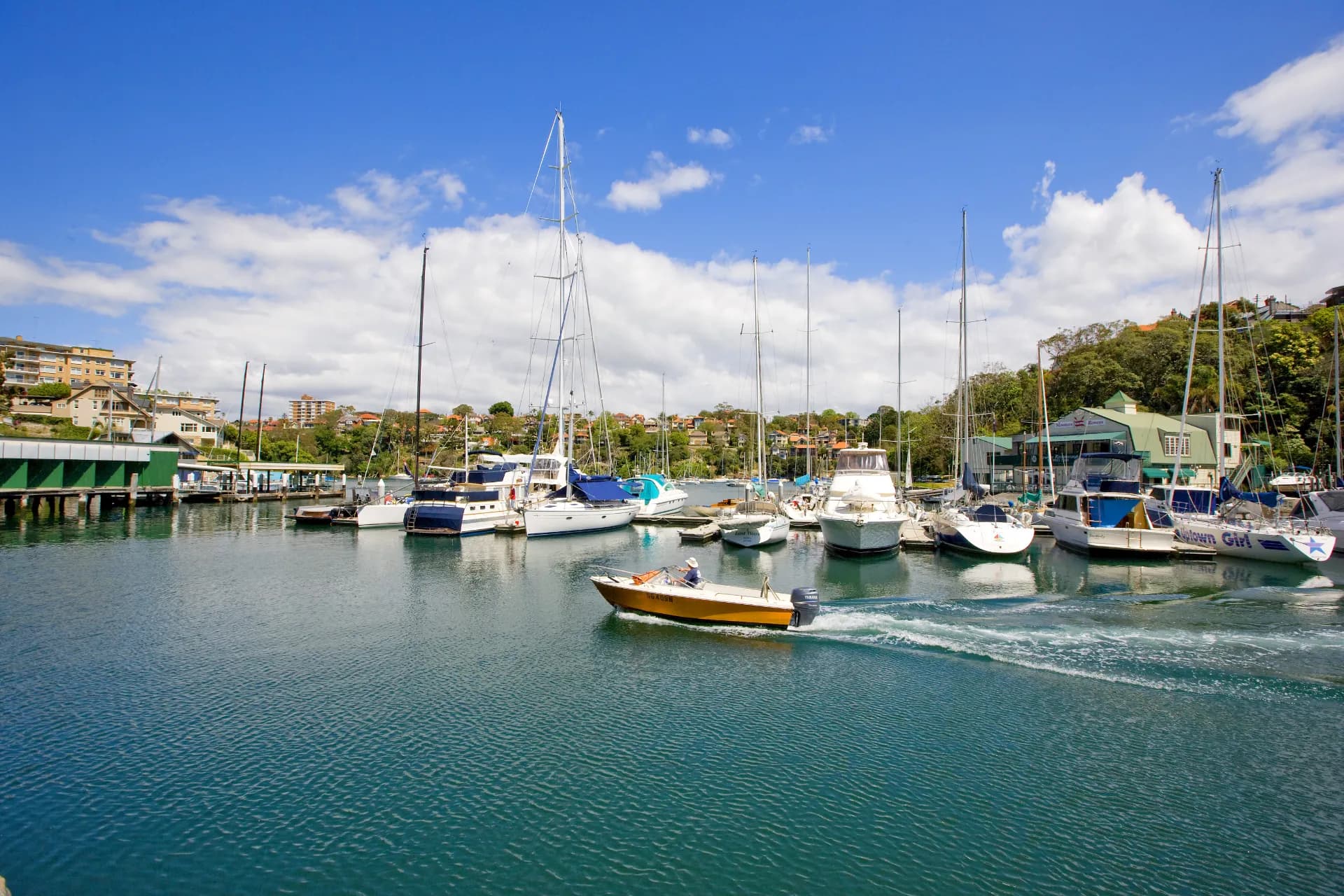 3/60C Raglan Street, Mosman - Thumbnail 3