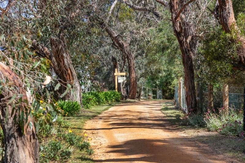 97 Coombes Road Torquay VIC, Torquay - Thumbnail 2