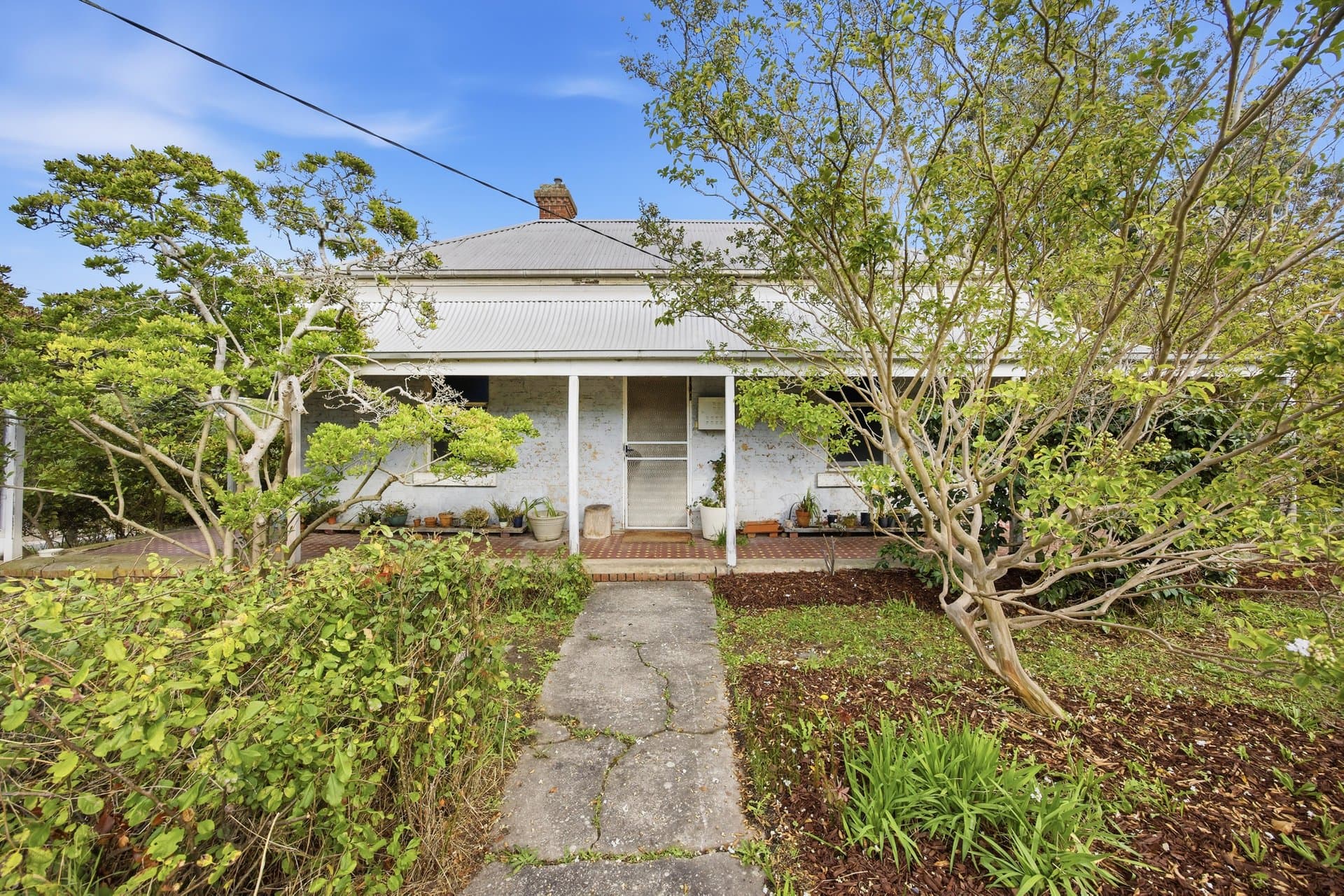 113 Cave Hill Road, Lilydale - Image 1