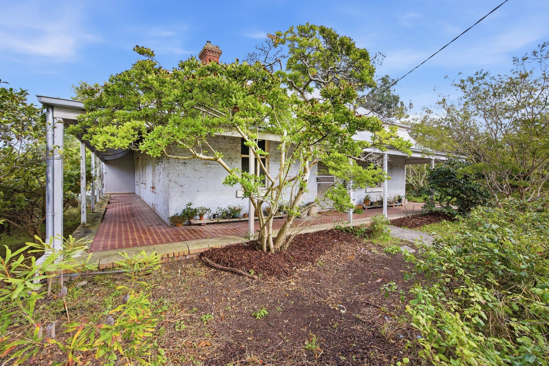 113 Cave Hill Road, Lilydale - Thumbnail 3