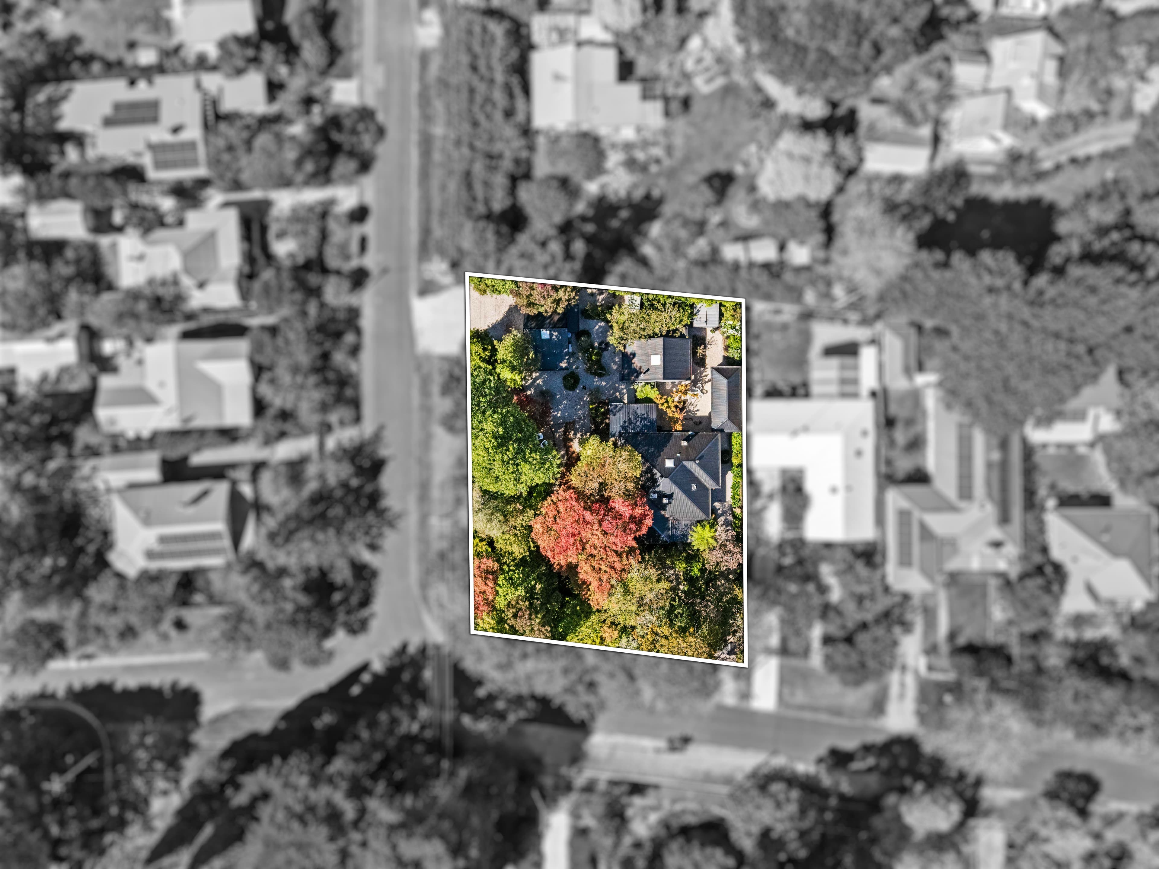 21 Brentwood Avenue, Blackheath NSW 2785, Blackheath - Thumbnail 3