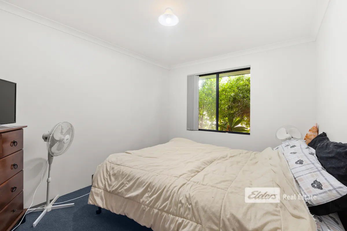 37B Wisbey Street, Carey Park, WA, 6230, Carey Park - Thumbnail 7