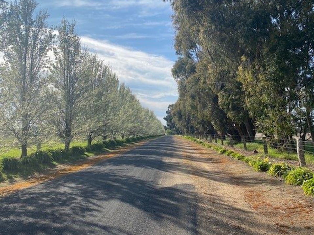 200 Fiddlers Green Road, Kyneton, Kyneton - Thumbnail 6