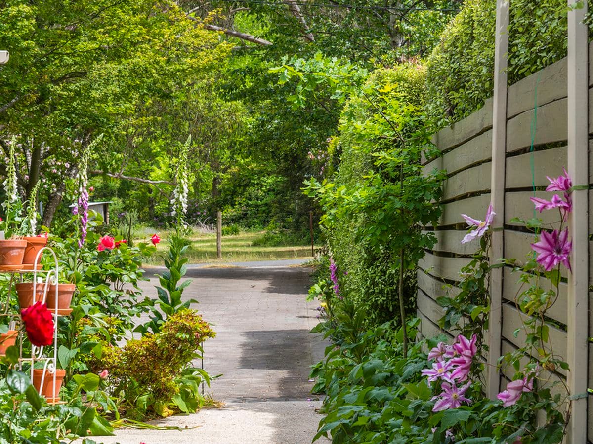 150 Brougham Road, Mount Macedon, Mount Macedon - Thumbnail 4