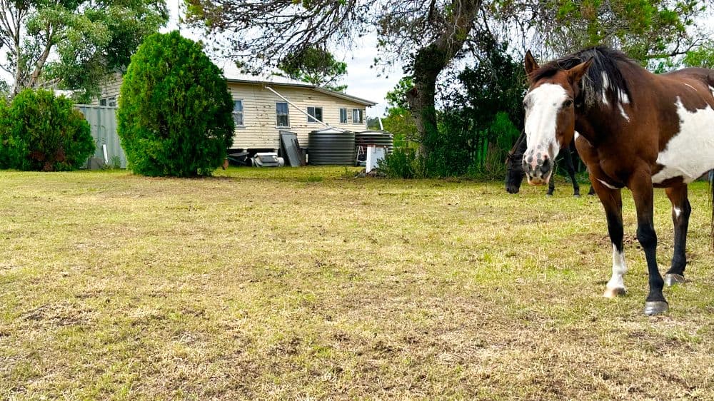 142 Glennie Street, Drayton QLD 4350, Drayton - Thumbnail 8